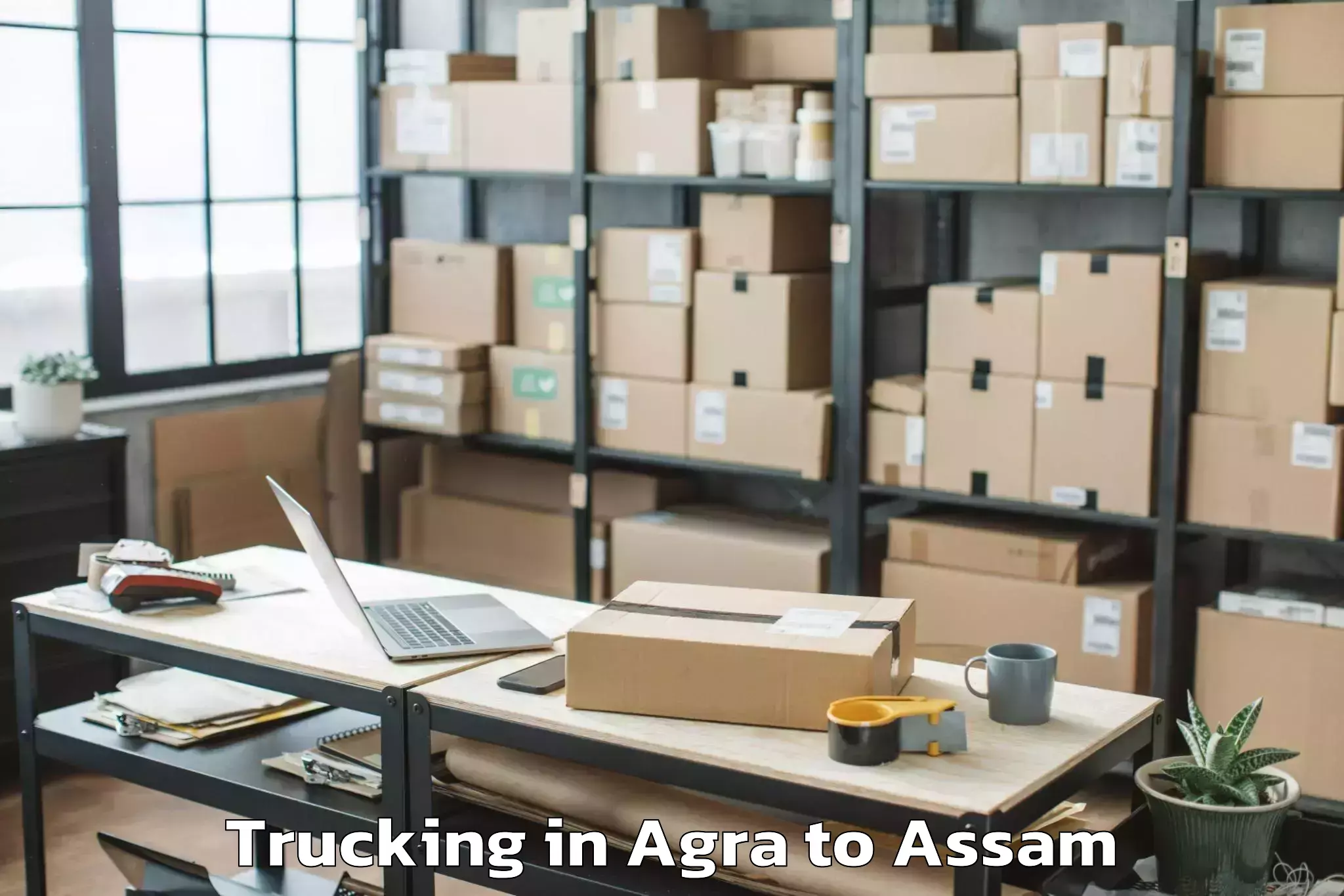 Book Agra to Agomani Trucking Online